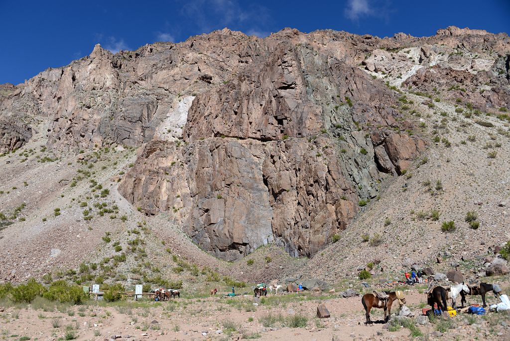 14 Mules At Pampa de Lenas 2862m On The Trek To Aconcagua Plaza Argentina Base Camp